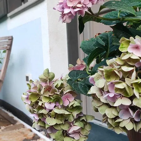 I Custodi Del Bosco 3* Gorycja