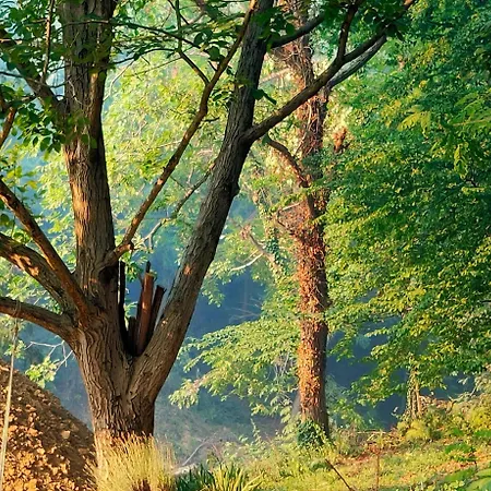 فندق مبيت وإفطار I Custodi Del Bosco غوريزيا