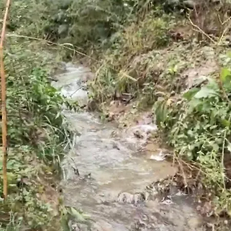 I Custodi Del Bosco 3*