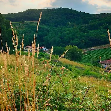 I Custodi Del Bosco 3* Gorycja