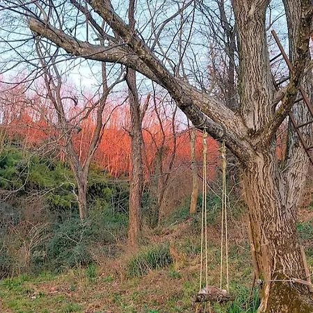 I Custodi Del Bosco Nocleg ze śniadaniem 3*