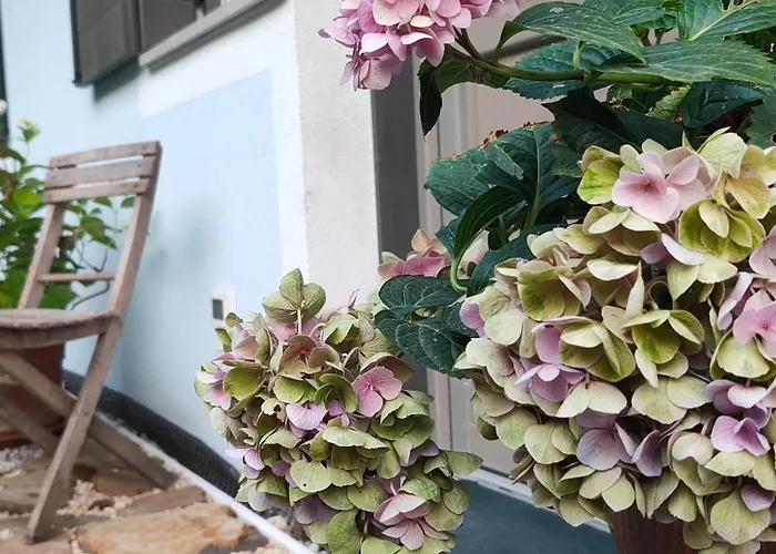 I Custodi Del Bosco 3* Gorycja