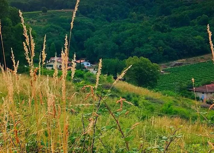 I Custodi Del Bosco 3* Gorycja