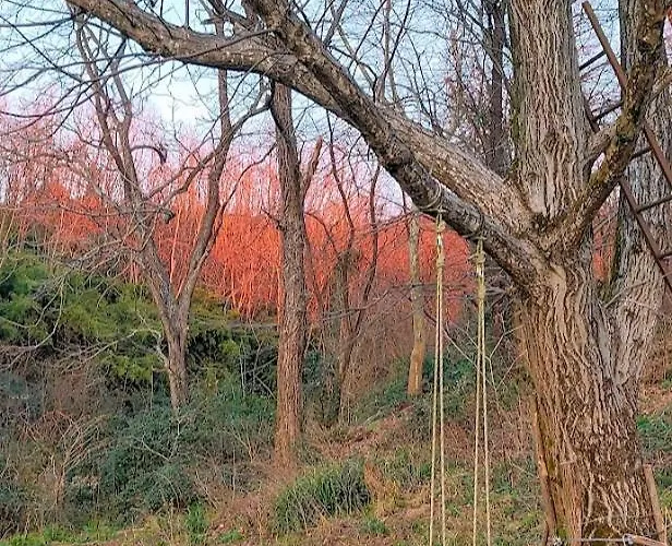 I Custodi Del Bosco Nocleg ze śniadaniem 3*